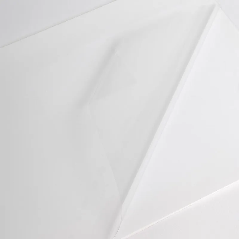 V202CG1 - Hexis Polymerisk Transparent - Printmedie